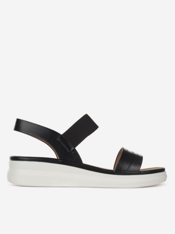 N82888 