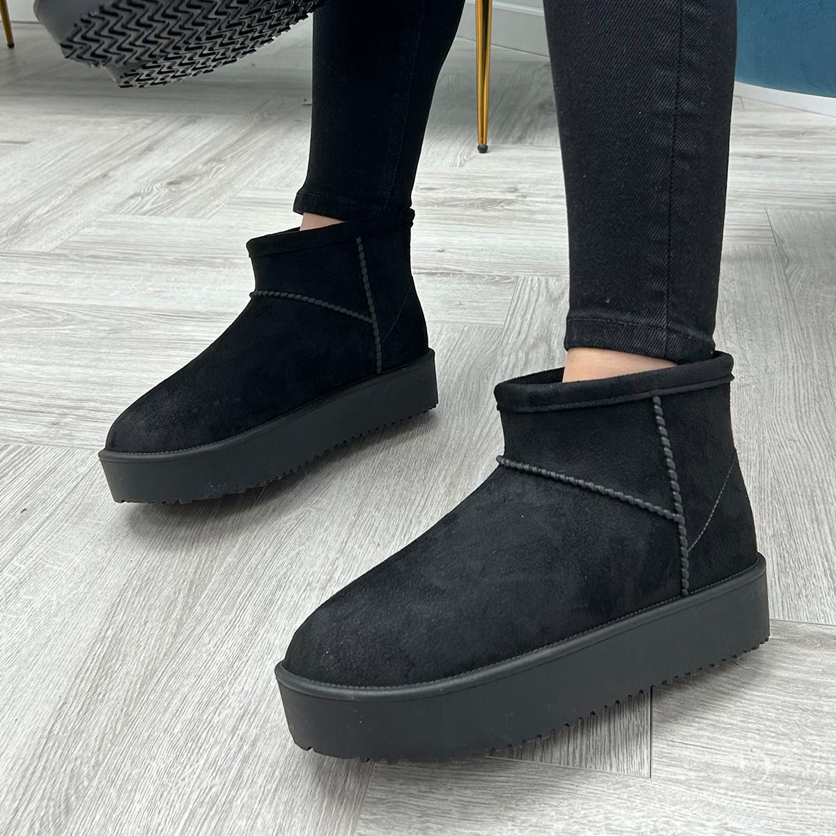 N81521
